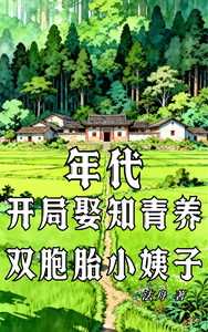年代：开局娶知青养双胞胎小姨子